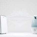 Air Purifier vs Humidifier: Key Differences