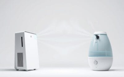 Air Purifier vs Humidifier: Key Differences